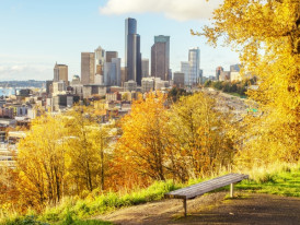 City Unscripted article image