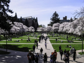 City Unscripted article image