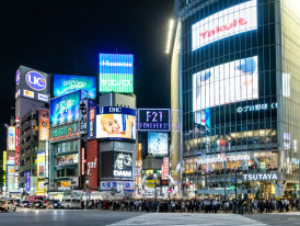 City Unscripted article image