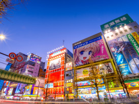 City Unscripted article image