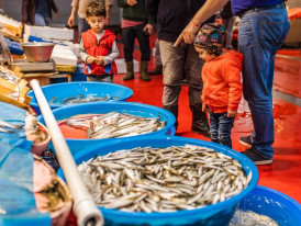 Discover Kadikoy Fish Market