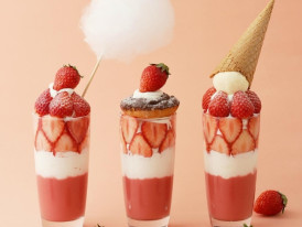 Cafe and Books Bibliotheque