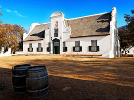 Taste Some Delicious Wine