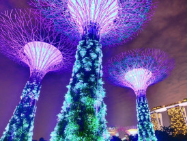 City Unscripted article image