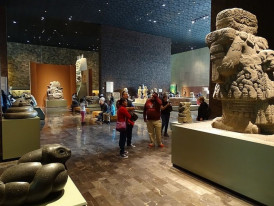 Museum Of Anthropology