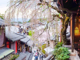 City Unscripted article image