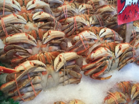 City Unscripted article image