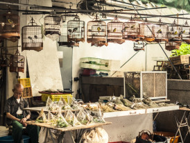 Browse legendary markets