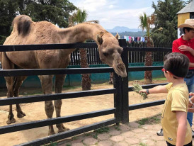 City Unscripted article image