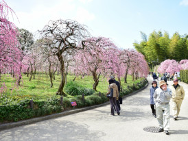 Nagoya Agricultural Centre