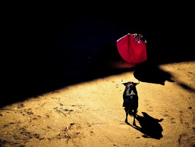 Learn more about bullfighting at Campotoro