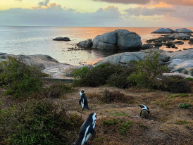 City Unscripted article image