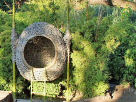 For the Animal Lovers