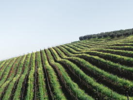 Head out of the city