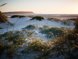 Chill out in Noordhoek