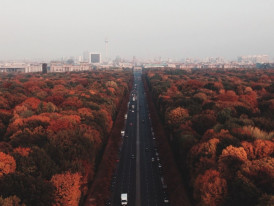 Experience the changing leaves in Berlin parks