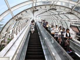 City Unscripted article image