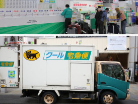 City Unscripted article image