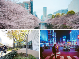 City Unscripted article image