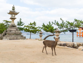 Miyajima