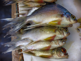 Shop like a local at Mercado de Bazurto