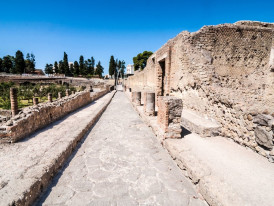 Day trip to Pompeii and Herculaneum