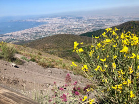 Take a hike up Mt. Vesuvius