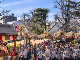 Sightseeing during festivals in Tokyo can be fun for th