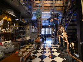 City Unscripted article image