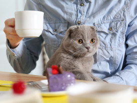 City Unscripted article image