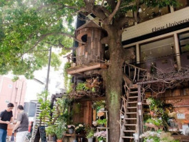 City Unscripted article image