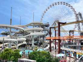 City Unscripted article image