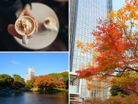 Unwinding in sidewalk cafes during fall