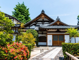 City Unscripted article image