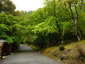 City Unscripted article image