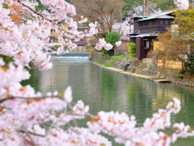 City Unscripted article image