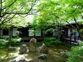 City Unscripted article image