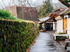 City Unscripted article image