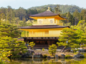 City Unscripted article image