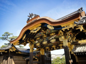 City Unscripted article image