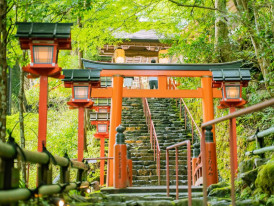 City Unscripted article image