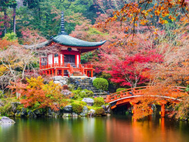 City Unscripted article image