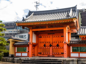 City Unscripted article image