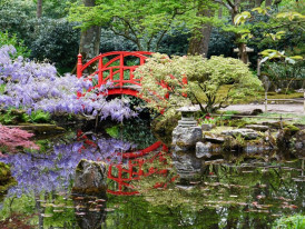 City Unscripted article image