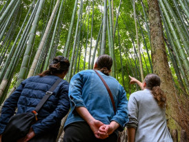 City Unscripted article image