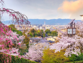 City Unscripted article image