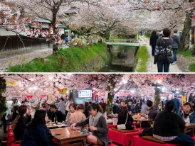 City Unscripted article image