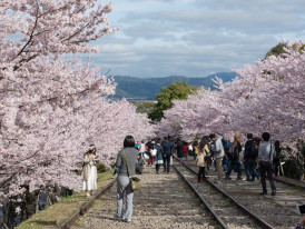 City Unscripted article image