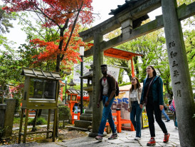 Planning your Kyoto trip: Tips and insights