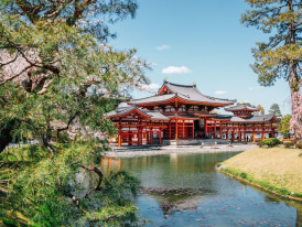 City Unscripted article image